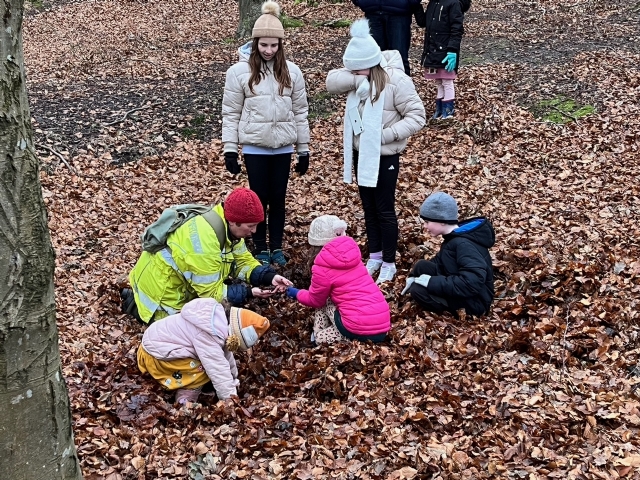 Alison helping children find insects among the leaves Dec 2023